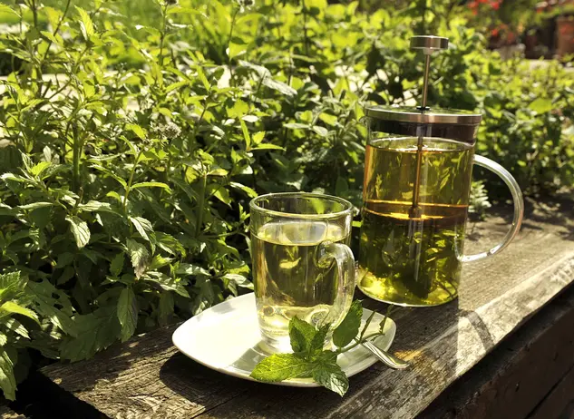 Entspannung bei einem frisch aufgebrühtem Tee im Wellness und Gesundheitsurlaub auf dem Land