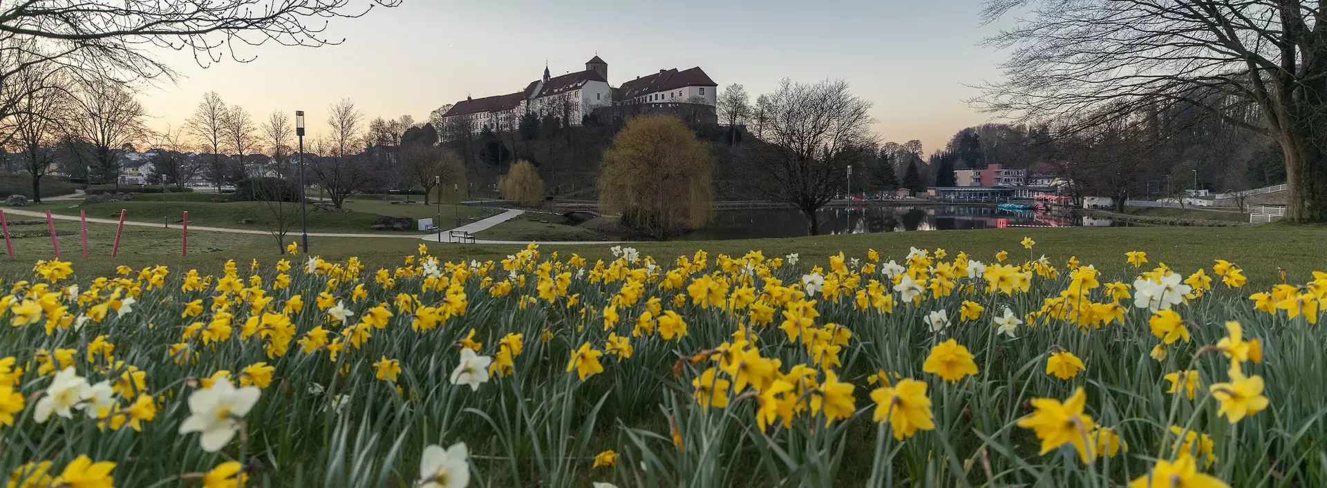 Blick auf das thronende Schloss Iburg in Niedersachsen von einer blühenden Frühjahrswiese aus
