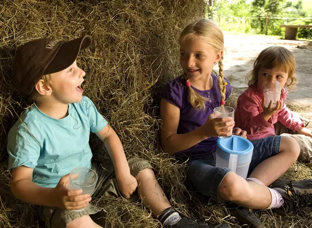 im Urlaub auf dem Kinderbauernhof im Schwarzwald trinken Kinder frische Milch von den Kühen auf dem Bauernhof