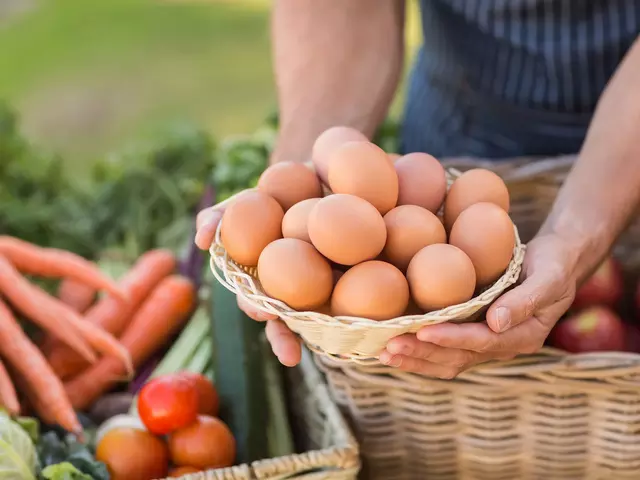 im Urlaub auf dem Bauernhof frisches Gemüse und Eier im Bioladen einkaufen