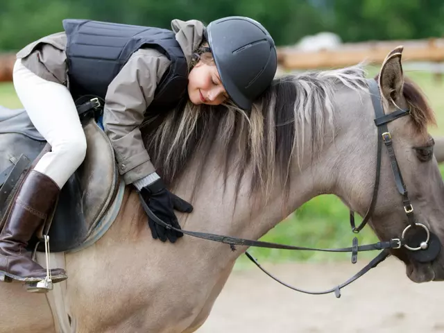 in den Reiterferien für Kinder auf dem Ponyhof den Umgang mit dem Pferd erlernen