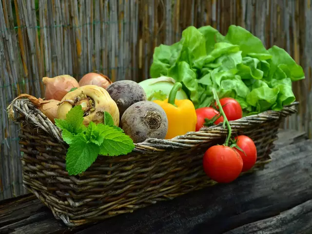 Urlaub auf dem Biohof - Gemüse aus ökologischer Landwirtschaft im Urlaub auf dem Bauernhof essen und kaufen