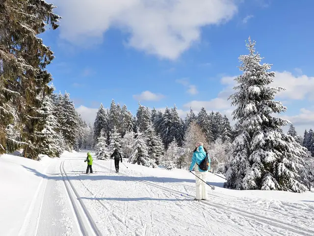 Winterurlaub in Thüringen buchen und im Thüringer Wald Ski fahren