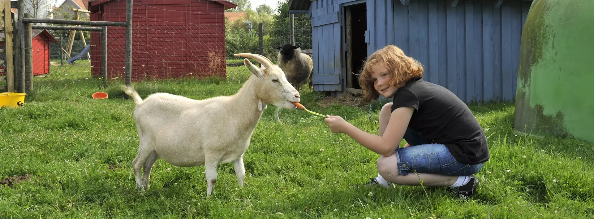 Bei einem Urlaub auf dem Bauernhof können Kinder Tiere streicheln und füttern.