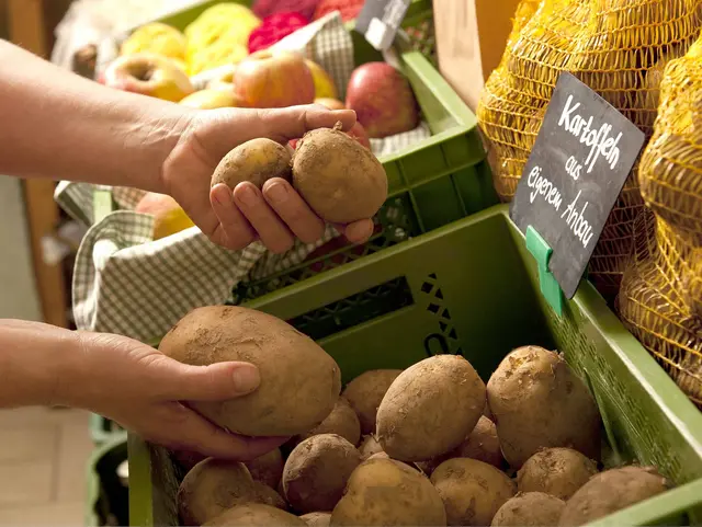 im Urlaub auf dem Bauernhof in Thüringen Kartoffeln im Hofladen einkaufen