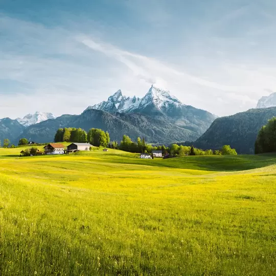 Idyllische Alpenlandschaft mit blühenden Wiesen und schneebedeckten Berggipfeln an einem sonnigen Frühlingstag mit blauem Himmel.
