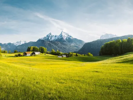 Idyllische Alpenlandschaft mit blühenden Wiesen und schneebedeckten Berggipfeln an einem sonnigen Frühlingstag mit blauem Himmel.