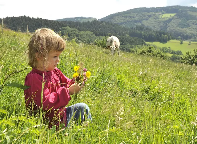 im Urlaub auf dem Kinderbauernhof im Schwarzwald bei einem Spaziergang Blumen auf der Wiese pflücken