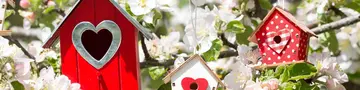 Wenn im Frühling die Bäume blühen, zieht es die Vögel in die Vogelhäuschen.