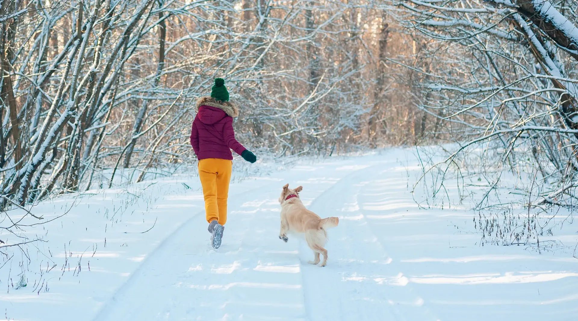 Junge Frau spielt mit ihrem Golden Retriever Hund im Schnee in winterlichem Wald. 