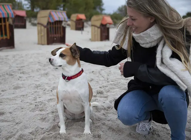 im Ostsee Urlaub mit Hund am Strand spazieren gehen