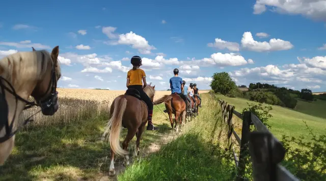 Mehrere Reiter auf Pferden unterwegs auf einem Feldweg in der ländlichen Natur