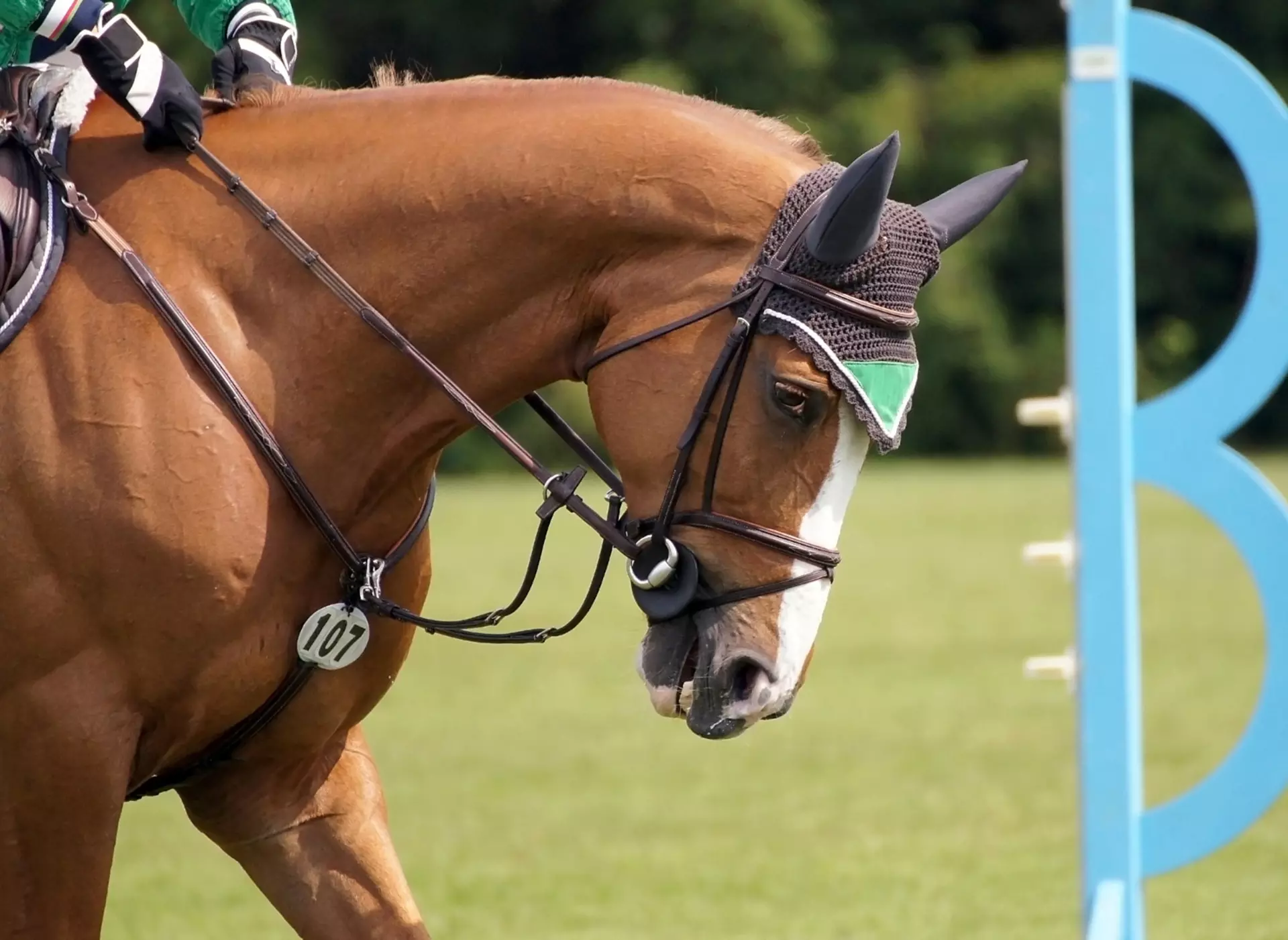 Pferdesport-Turnier CHIO in Aachen - © Pixabay.com, Kira Hoffmann im Urlaub in der Eifel in NRW das Pferdesport-Turnier CHIO in Aachen besuchen