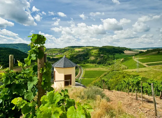 im Urlaub auf dem Weingut eine Radtour auf dem rund 120 Kilometer langen Nahe-Radweg machen und das Weinbergshaus bei Norheim besuchen