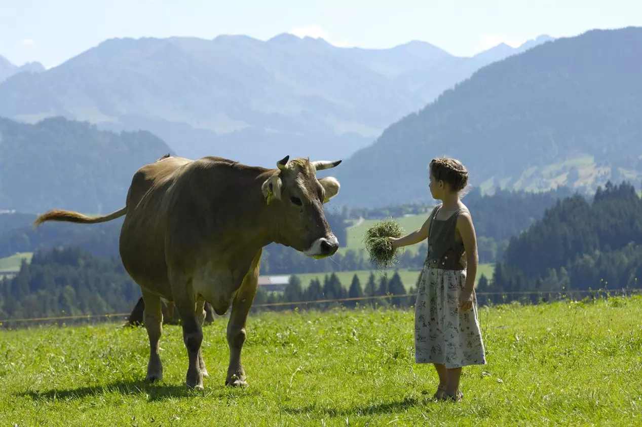 Allgaeu - © LAG Bayern
, LAG Bayern