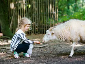 Hautnah dabei: Ein Kind füttert ein weißes Schaf – unvergessliches Bauernhoferlebnis für die ganze Familie.