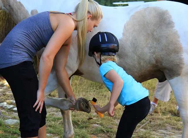im Urlaub auf dem Reiterhof in Schleswig-Holstein den richtigen Umgang mit dem Pferd erlernen