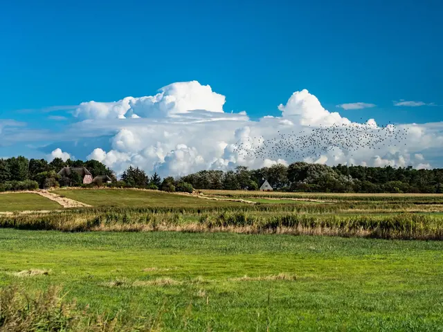 Traumstraße auf Föhr – Ferien auf dem Bauernhof Nordsee - © Olaf Schlenger, AdobeStock Eine Landschaft auf der Nordseeinsel Föhr mit Vogelschwarm und reetgedeckten Häusern.