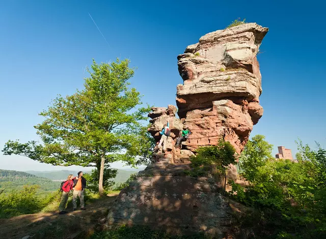 im Urlaub auf dem Bauernhof in der Pfalz eine Wanderung zu den Felsen am Pfälzer Weinsteig machen