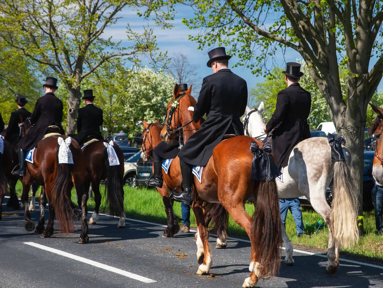 Sorbisches Osterreiten in der Lausitz - © tanja_riedel, adobe stock estlich geschmückte Pferde und Reiter in schwarzer Festkleidung ziehen an einem Frühlingstag durch die Straßen