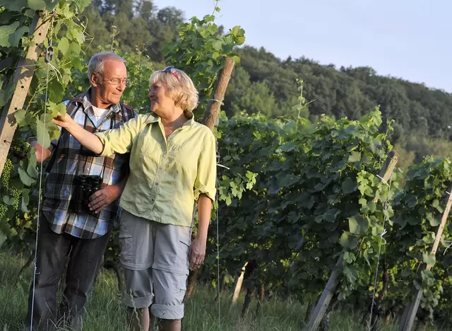 Nach einer Weinbergwanderung in einer Besenwirtschaft einkehren