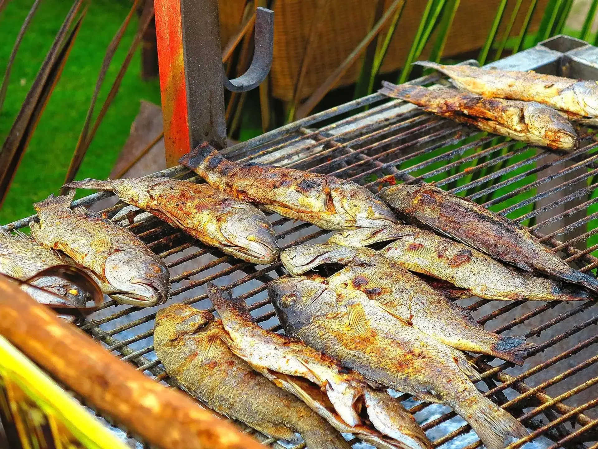 Frischer Fisch vom Grill – Angelurlaub auf dem Land genießen - © Pixabay.com, nextvoyage Frisch gegrillter Fisch nach dem Angeln beim Angelurlaub auf dem Land auf einem Grill zubereitet