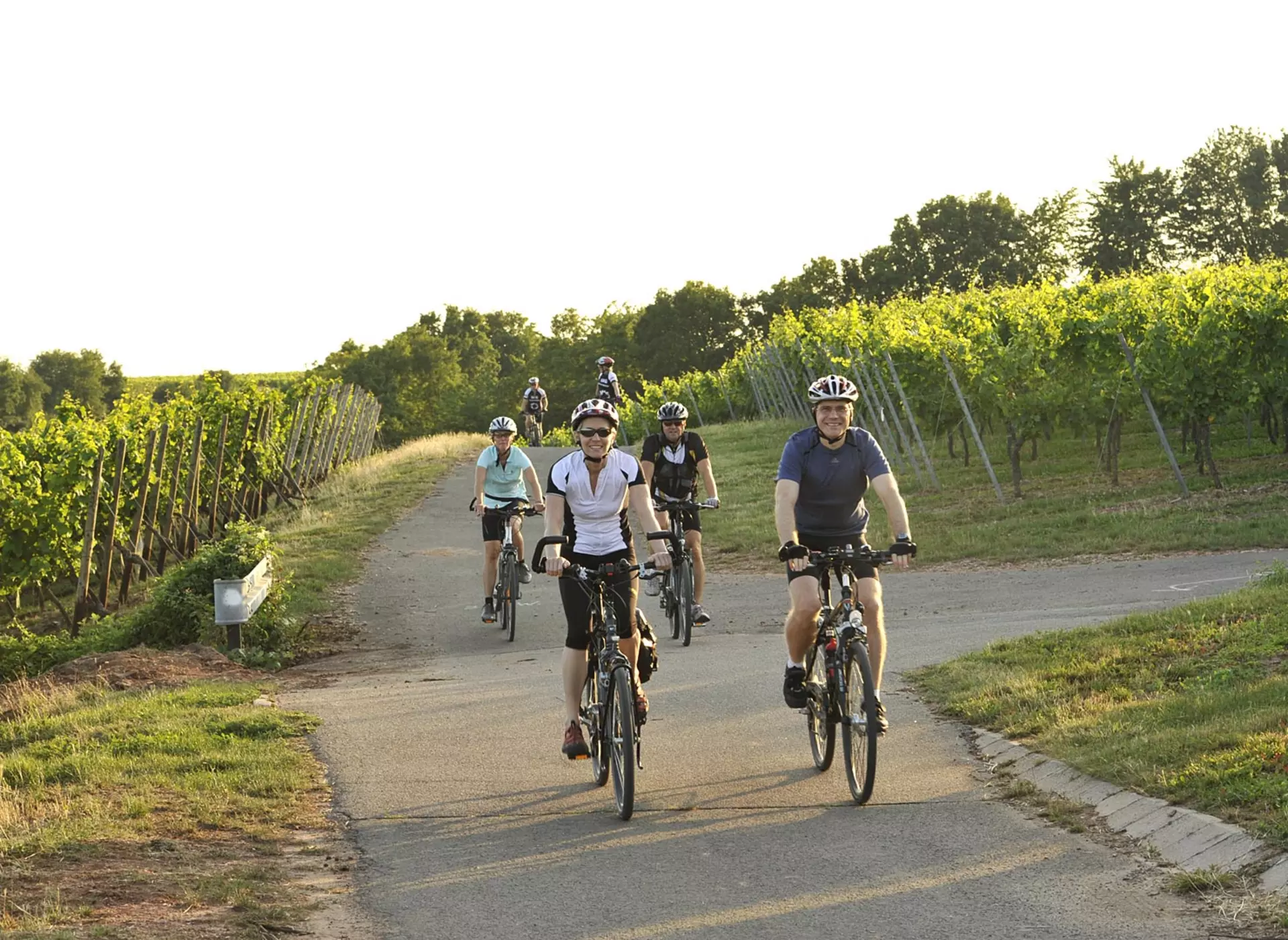 Radtour durch die Weinberge - © Landsichten.de, Susanne Mölle im Urlaub auf dem Winzerhof an der Mosel eine Radtour durch die Weinberge machen