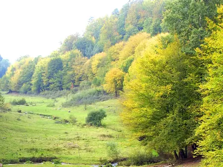 Mit dem Rad durch die Mittelgebirgslandschaft Rhön."