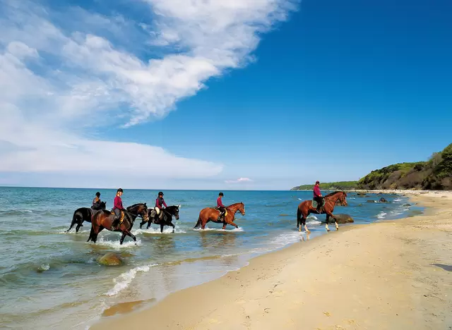 im Urlaub auf dem Reiterhof auf Rügen einen Ausritt am Strand machen