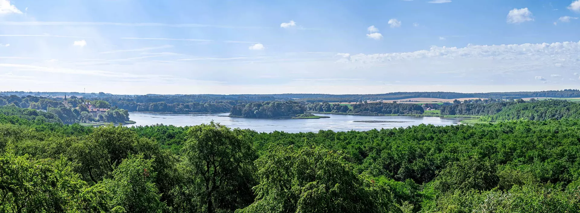 im Urlaub die Mecklenburgische Schweiz entdecken und die Aussicht vom Baumkronenpfad im Naturmonument Ivenacker Eichen genießen