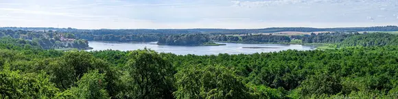 im Urlaub die Mecklenburgische Schweiz entdecken und die Aussicht vom Baumkronenpfad im Naturmonument Ivenacker Eichen genießen