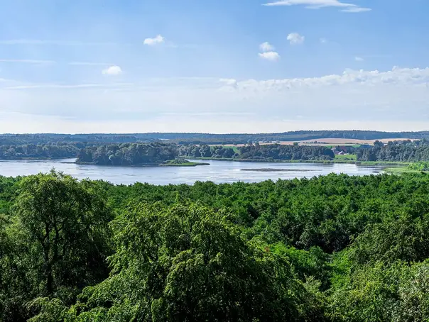 Aussicht vom Baumkronenpfad in die Mecklenburgische Schweiz - © Tourismusverband Mecklenburg-Vorpommern, Andrej Wächter im Urlaub die Mecklenburgische Schweiz entdecken und die Aussicht vom Baumkronenpfad im Naturmonument Ivenacker Eichen genießen
