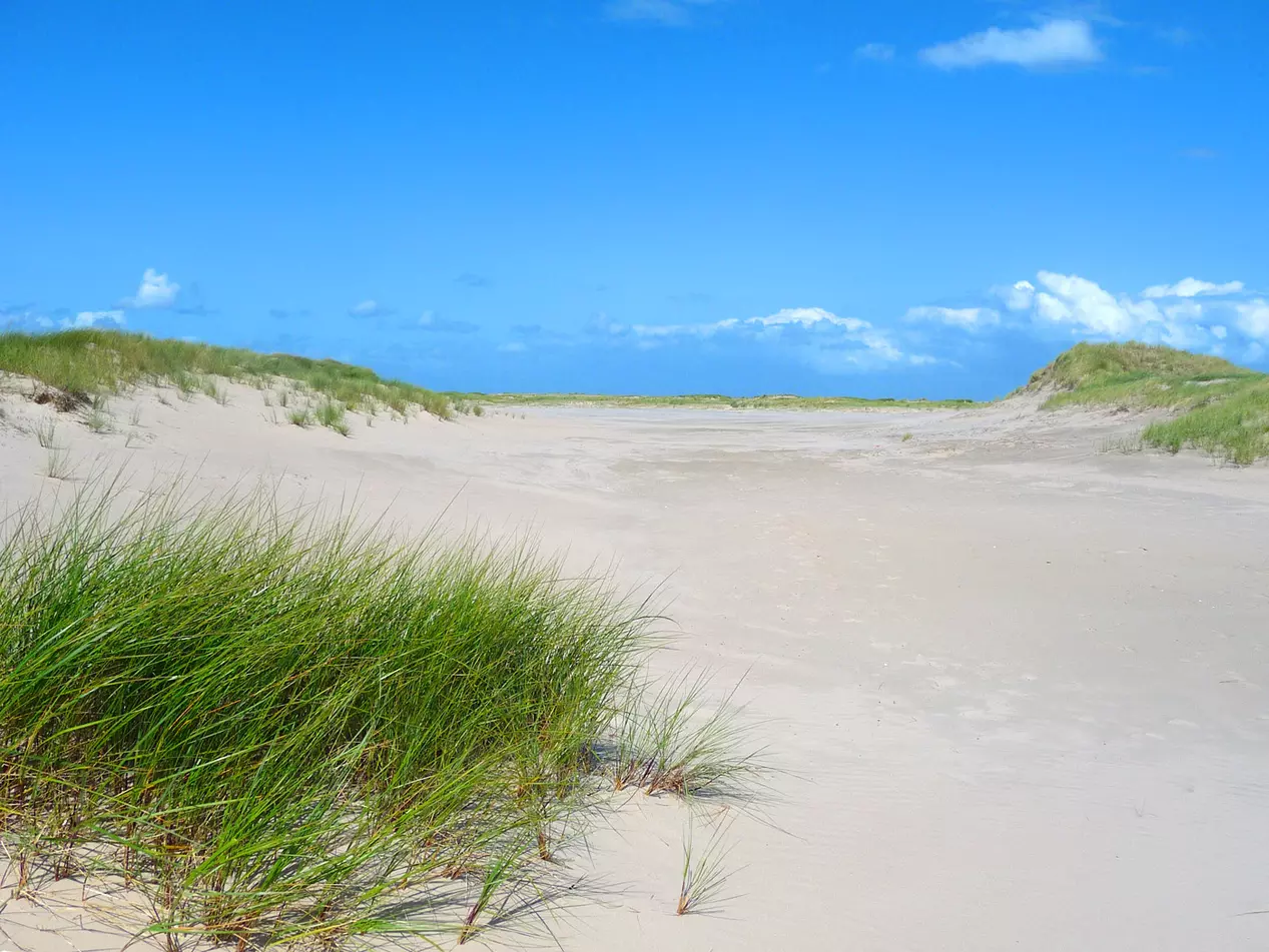 Dünenlandschaft auf Norderney