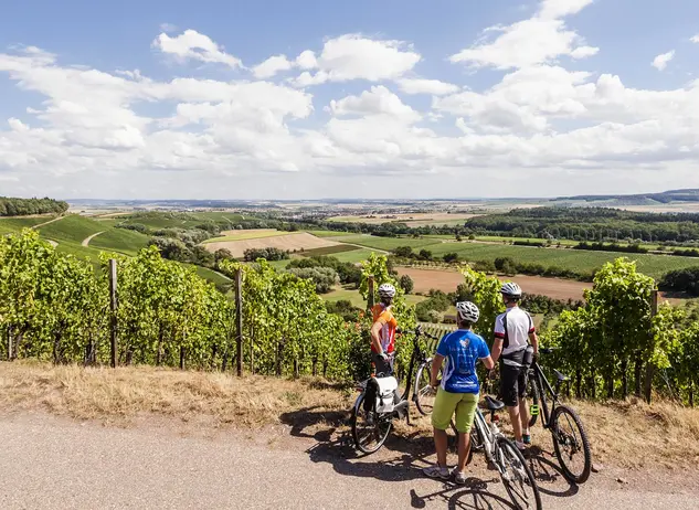 im Urlaub auf dem Winzerhof im Heilbronner Land eine Radtour auf der Württemberger Weinstraße machen