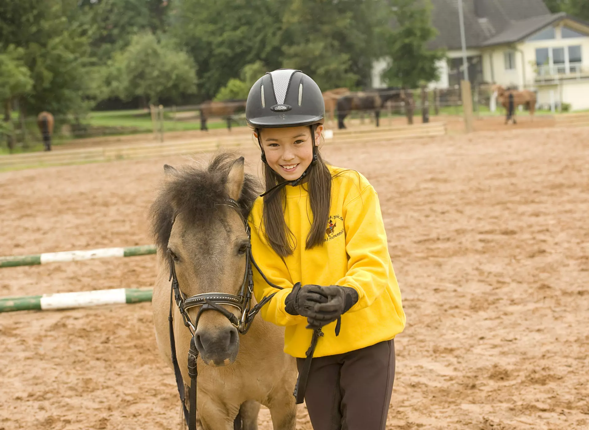 Ein Urlaub mit Pferden auf Reiterhöfen ist ein tolles Erlebnis für Kinder und Erwachsene.