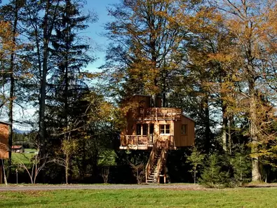 Zwei große Baumhäußer idyllisch im Wald.