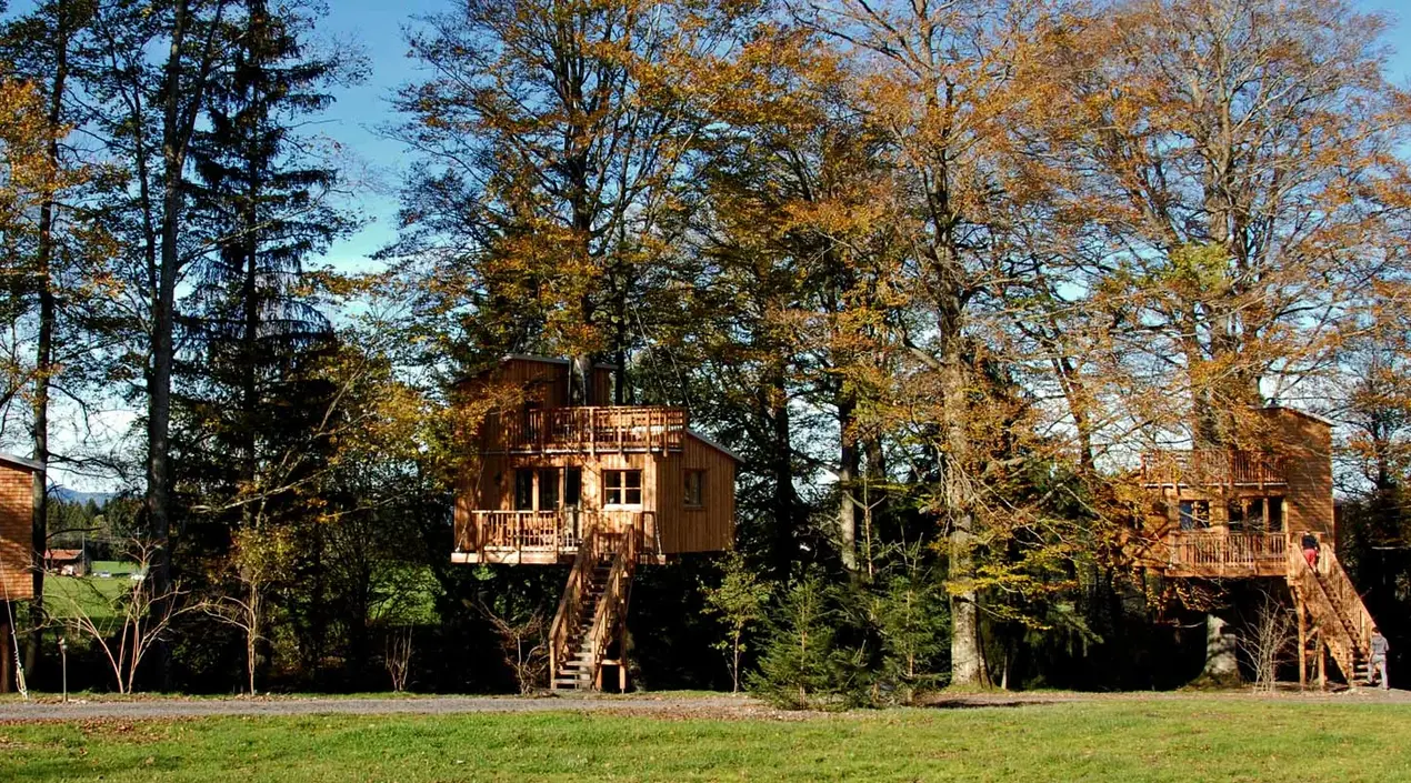 Zwei große Baumhäußer idyllisch im Wald.
