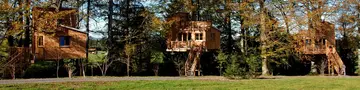 Zwei große Baumhäußer idyllisch im Wald.