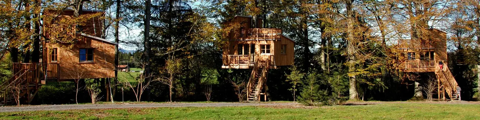 Baumhaus idyllisch im Wald