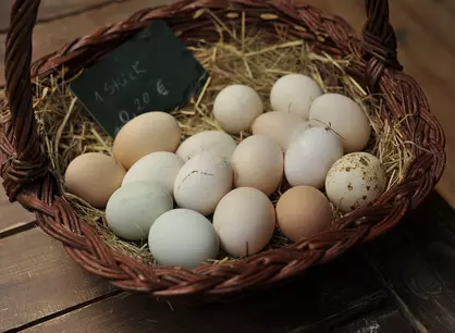 Frische Eier auf dem Bauernhof - © Landsichten.de, Susanne Mölle im Hofalden auf dem Bauernhof in Rheinland-Pfalz frische Eier kaufen