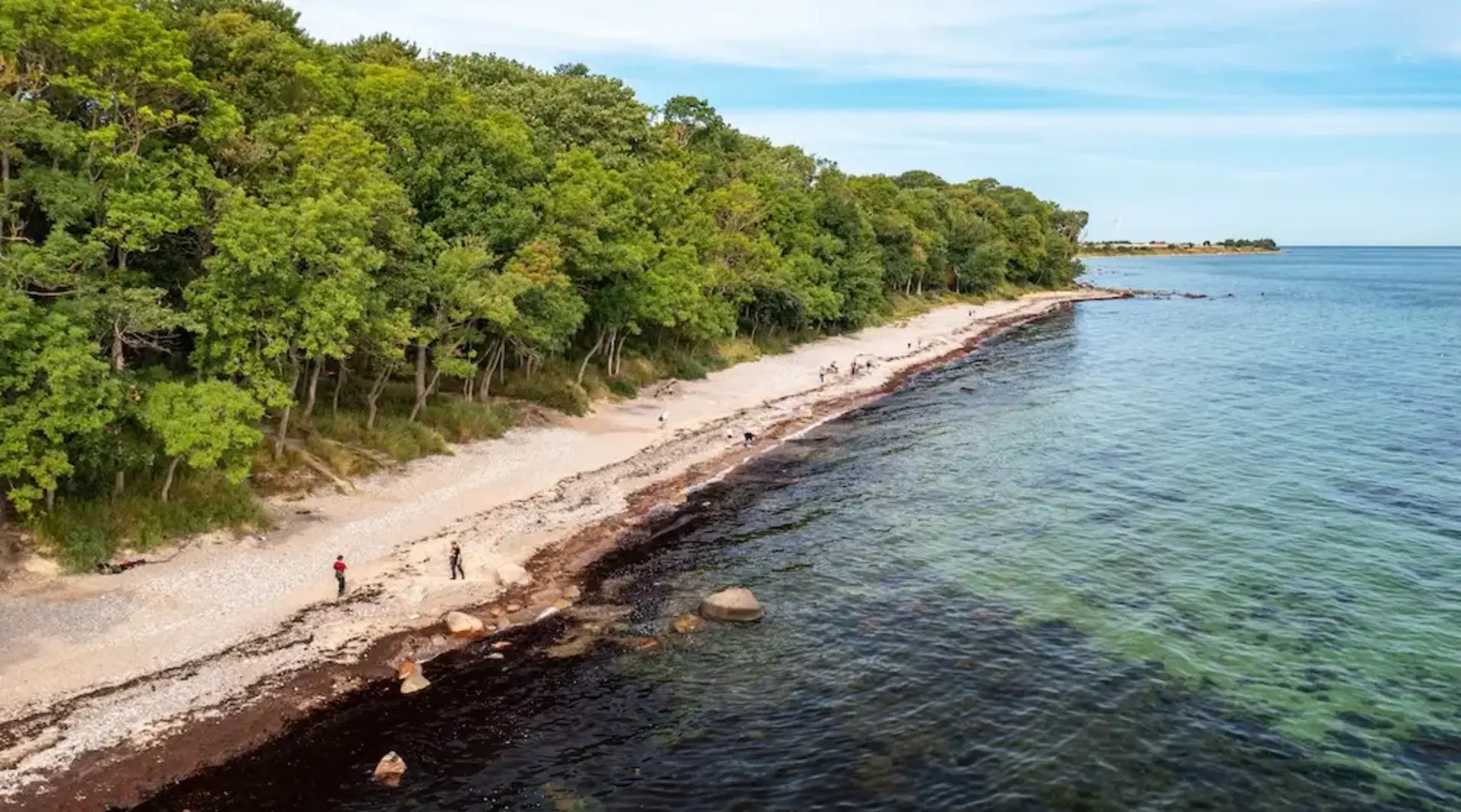 Die Steilküste Katharinenhof auf der Insel Fehmarn ragt eindrucksvoll über das Meer. 