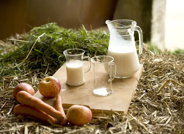 Frische Milch auf dem Bauernhof - © Landsichten.de, Susanne Mölle im Urlaub auf dem Bauernhof im Taubertal frische Produkte genießen