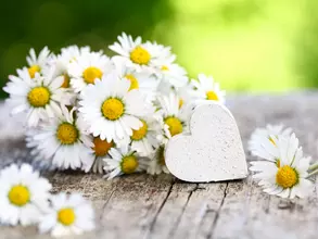 Ländliche Tischdekoration mit Gänseblümchen und Holzherz