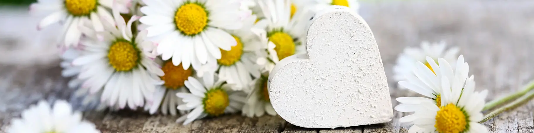 Ländliche Tischdekoration mit Gänseblümchen und Holzherz