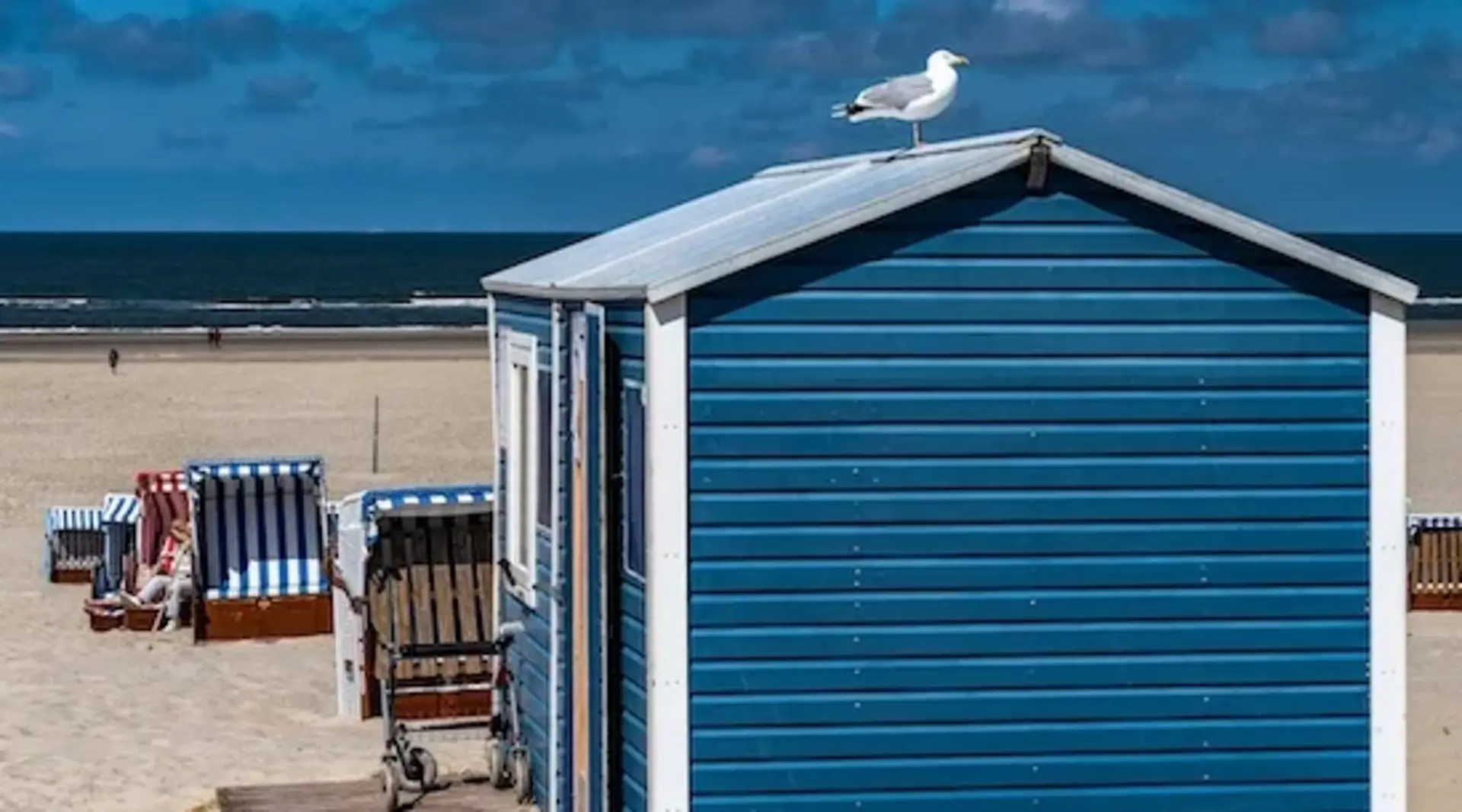 Auf dem Dach eines blauen Holzhäuschens am Meer sitzt eine Möwe und genießt die Sonne. Im Hintergrund sieht man Strandkörbe.