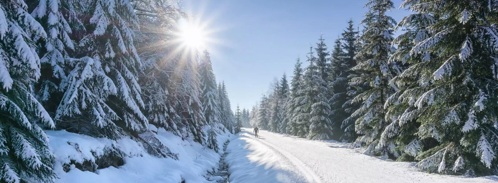 Weg in verschneiten Wald an einem sonnigen Tag im Winter
