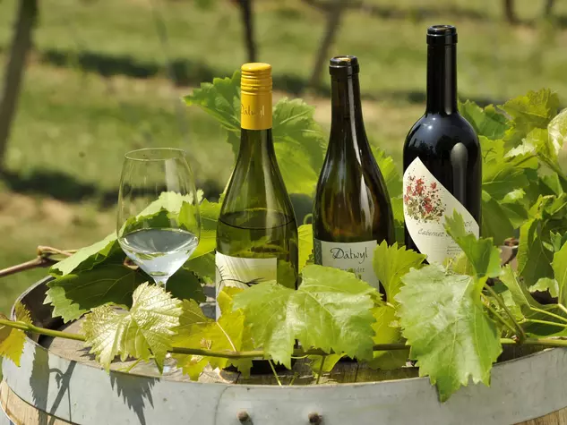 Weingenuss auf dem Winzerhof in Rheinhessen - © Susanne Mölle - Landsichten.de Weinranken umschlingen Weinflaschen, die auf deinem Fass optisch ansprechend platziert wurden
