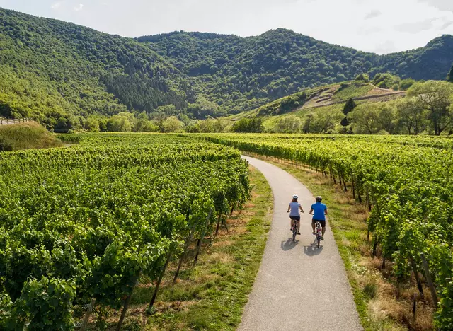 im Urlaub auf dem Weingut im Ahrtal eine Radtour durch die Weinberge machen