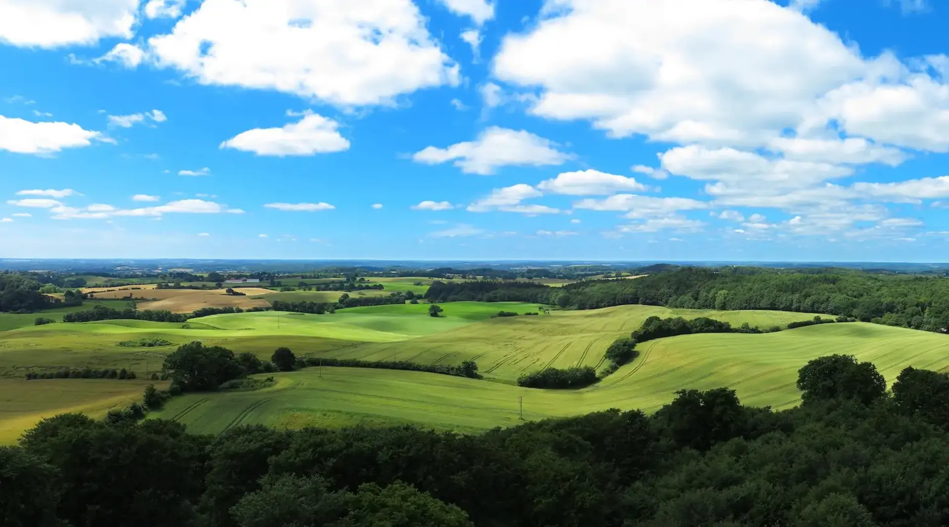 Eine hügelige grüne Landschaft mit Feldern, Wäldern und weitem Horizont in der Holsteinischen Schweiz steht für einen Bauernhof Urlaub auf dem Land.