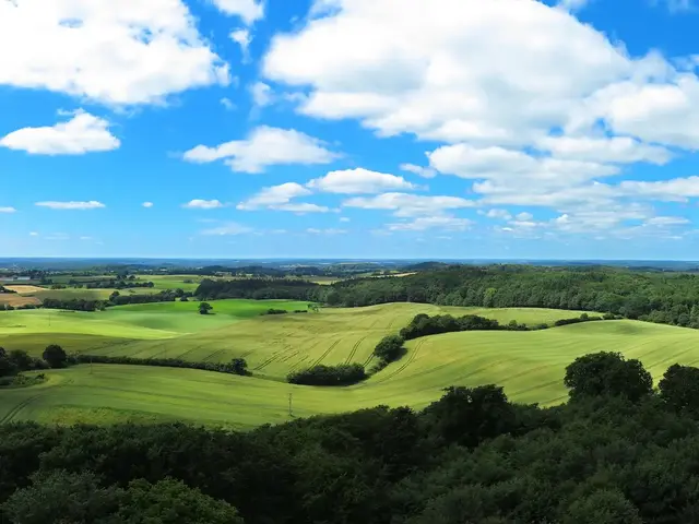 Holsteinische Schweiz Bauernhof – Urlaub auf dem Land mit Panoramablick - © Wilm Ihlenfeld, AdobeStock Eine hügelige grüne Landschaft mit Feldern, Wäldern und weitem Horizont in der Holsteinischen Schweiz steht für einen Bauernhof Urlaub auf dem Land.